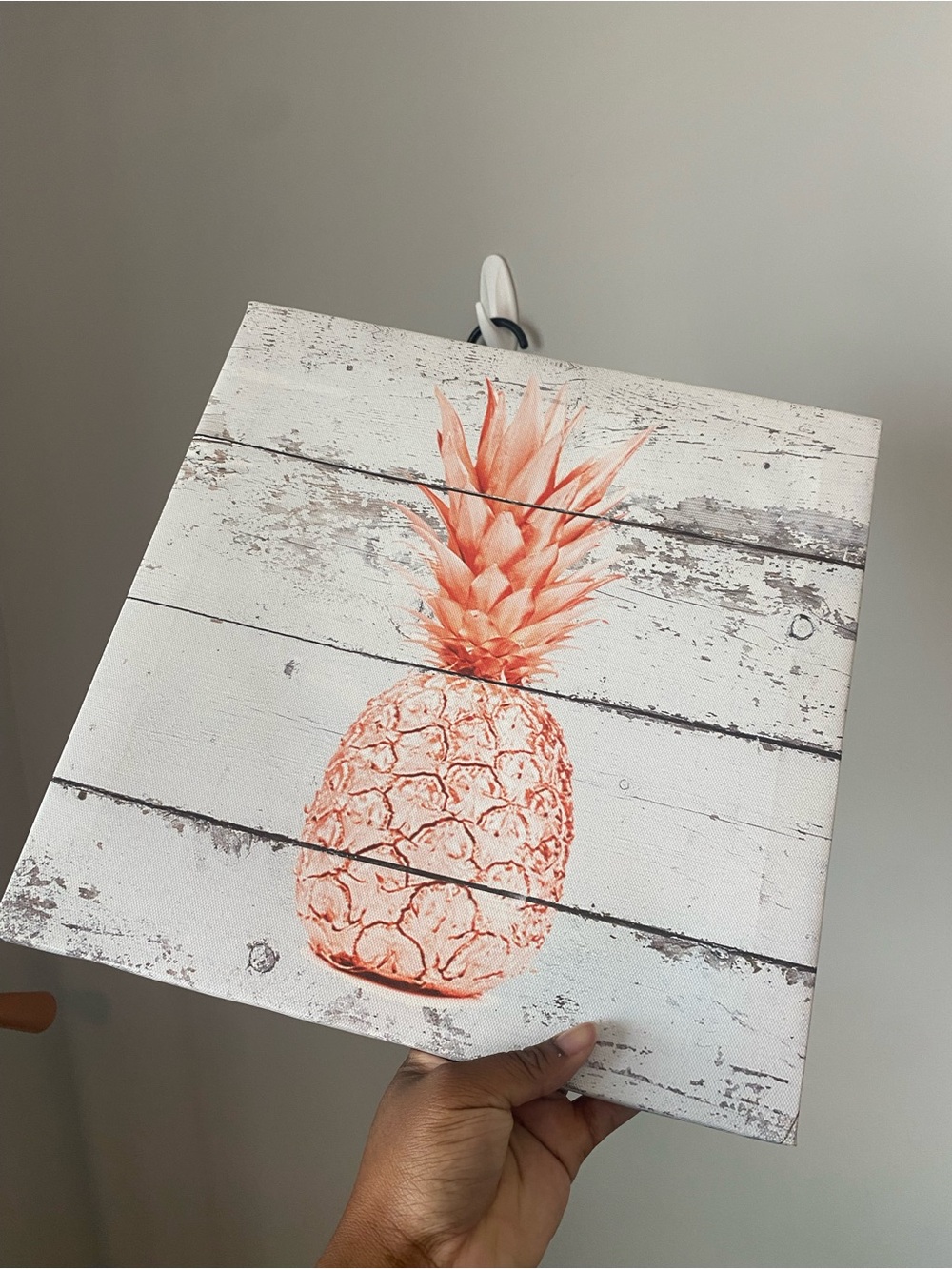 Coral Pineapple Wall Plaque – Tropical Accent Wall Art